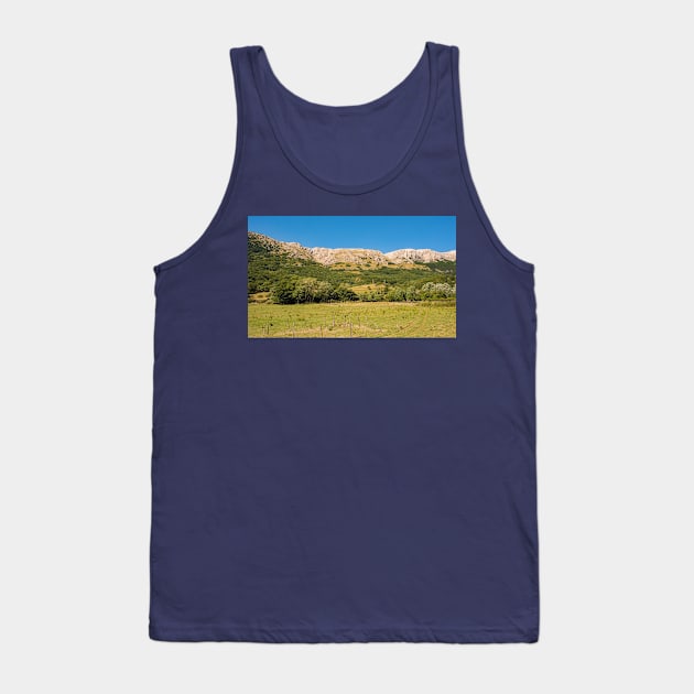 Landscape Near Jurandvor in Krk, Croatia Tank Top by jojobob